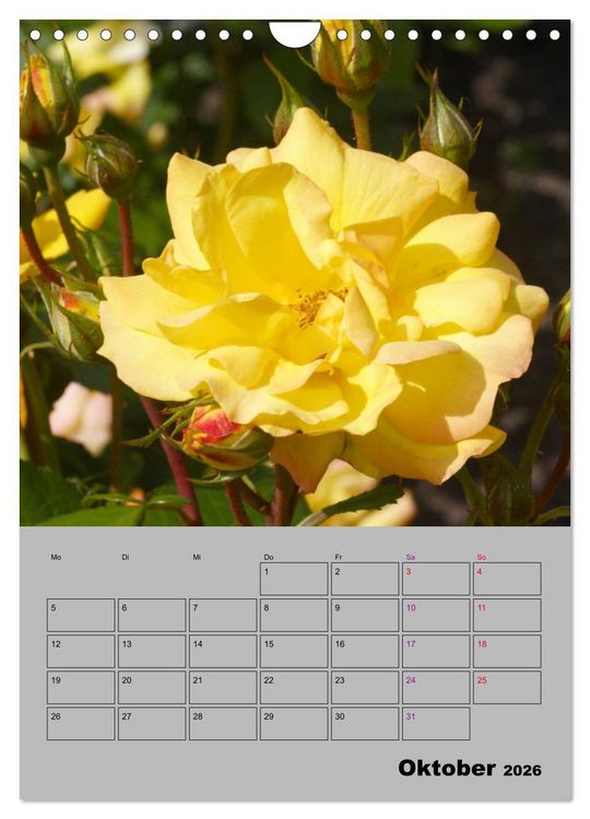 Produktbild: Rosen - Symbol der Liebe und Verehrung (Wandkalender 2026 DIN A4 hoch), CALVENDO Monatskalender