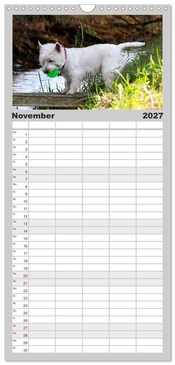 Produktbild: Familienplaner 2027 - West Highland White Terrier - Selbstbewustes Powerpaket - der Westie mit 5 Spalten (Wandkalender, 21 x 45 cm) CALVENDO