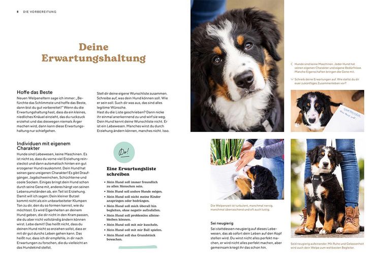Produktbild: Welpenschule