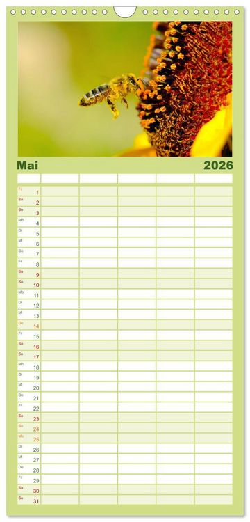 Produktbild: Familienplaner 2026 - Die Welt der flei&szlig;igen Bienen mit 5 Spalten (Wandkalender, 21 x 45 cm) CALVENDO