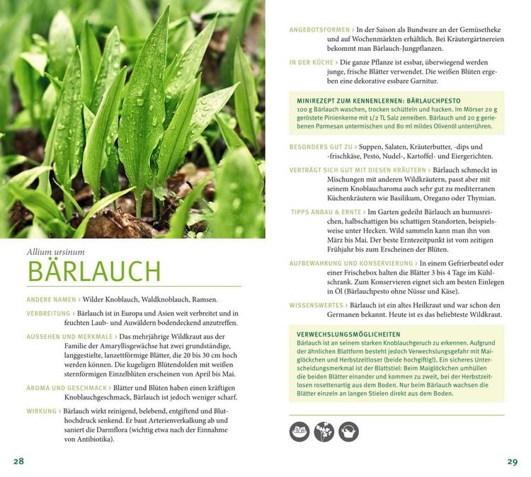 Produktbild: Kräuter