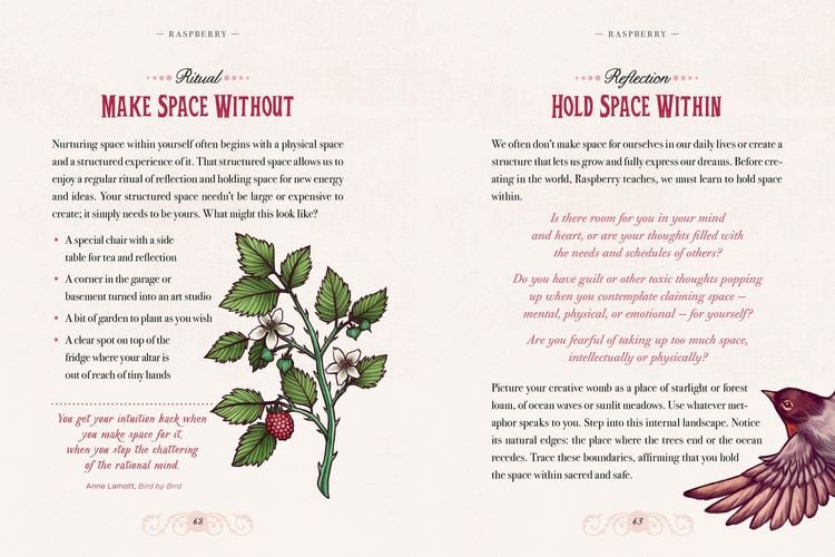 Produktbild: Illustrated Herbiary