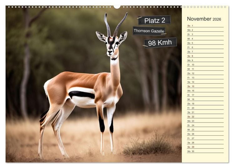 Produktbild: Wer rennt am schnellsten? (Wandkalender 2026 DIN A2 quer), CALVENDO Monatskalender