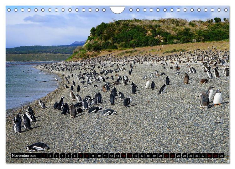 Produktbild: Argentinien - Von Iguazu bis Feuerland (Wandkalender 2026 DIN A4 quer), CALVENDO Monatskalender