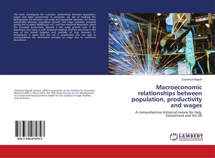Produktbild: Macroeconomic relationships between population, productivity and wages