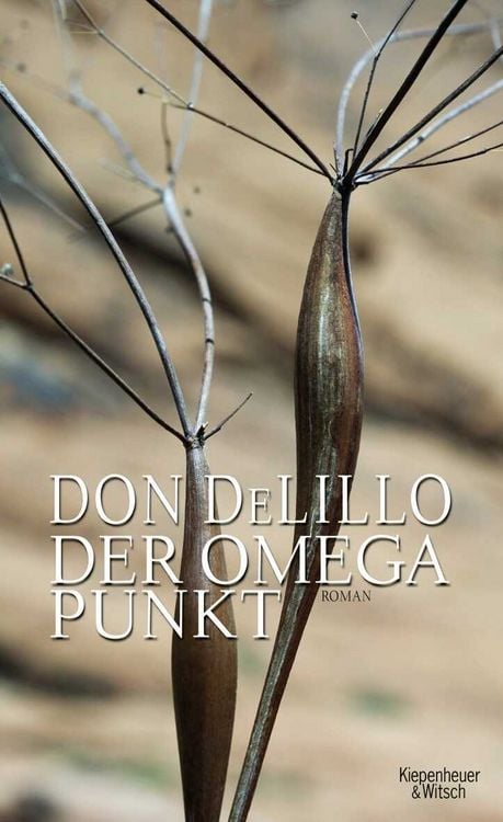 Produktbild: Der Omega-Punkt
