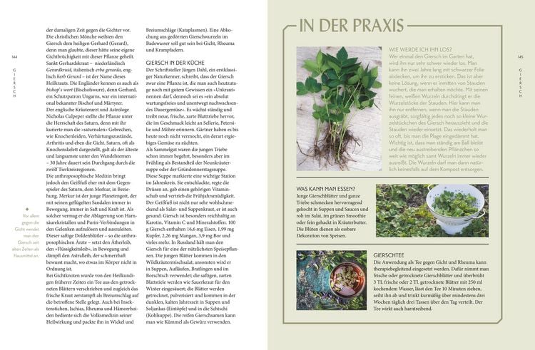 Produktbild: Die "Unkr&auml;uter" in meinem Garten