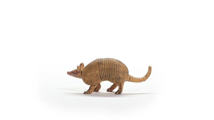 Produktbild: schleich&reg; 14874 G&uuml;rteltier