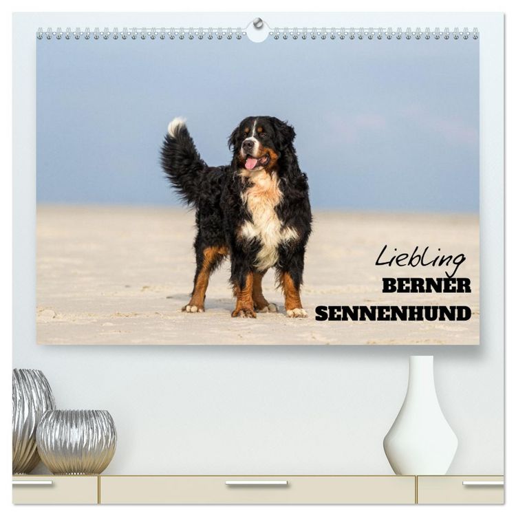 Produktbild: Liebling BERNER SENNENHUND (hochwertiger Premium Wandkalender 2026 DIN A2 quer), Kunstdruck in Hochglanz