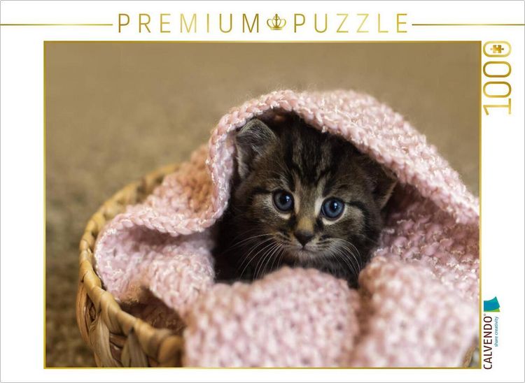 Produktbild: CALVENDO Puzzle Minikater M&auml;xchen | 1000 Teile Lege-Gr&ouml;&szlig;e 64x48cm Foto-Puzzle f&uuml;r gl&uuml;ckliche Stunden
