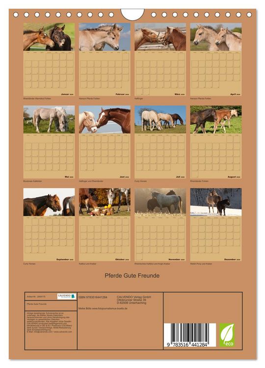 Produktbild: Pferde Gute Freunde (Wandkalender 2026 DIN A4 hoch), CALVENDO Monatskalender