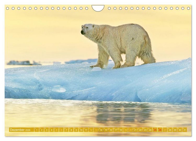 Produktbild: Farben und Muster der Erde (Wandkalender 2026 DIN A4 quer), CALVENDO Monatskalender