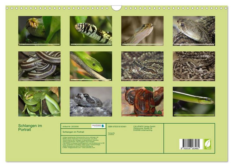 Produktbild: Schlangen im Portrait (Wandkalender 2026 DIN A3 quer), CALVENDO Monatskalender