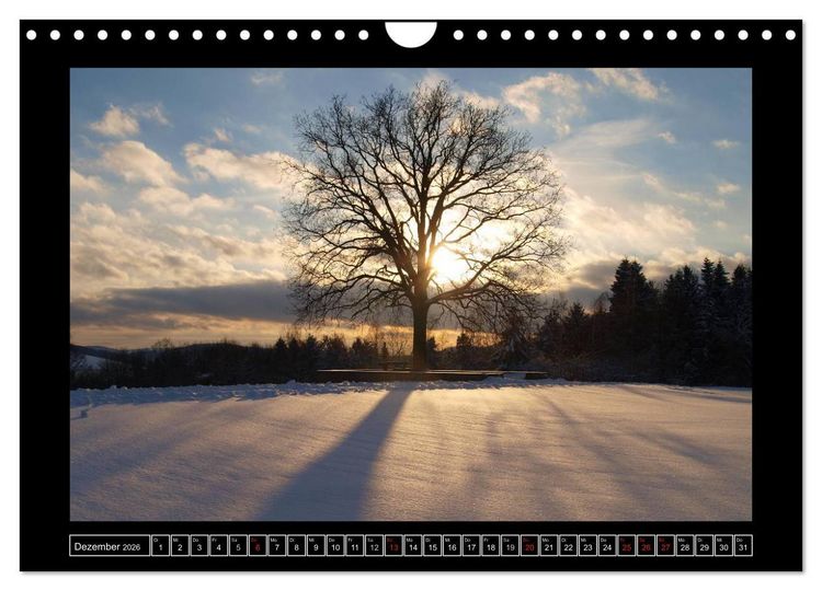 Produktbild: Odenwald - Landschaft sehen (Wandkalender 2026 DIN A4 quer), CALVENDO Monatskalender