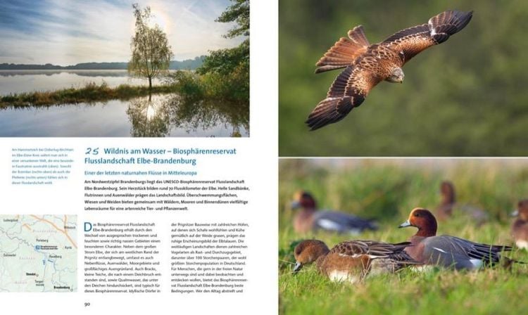 Produktbild: 100 Highlights Wildes Deutschland
