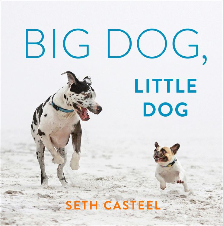 Produktbild: Big Dog, Little Dog