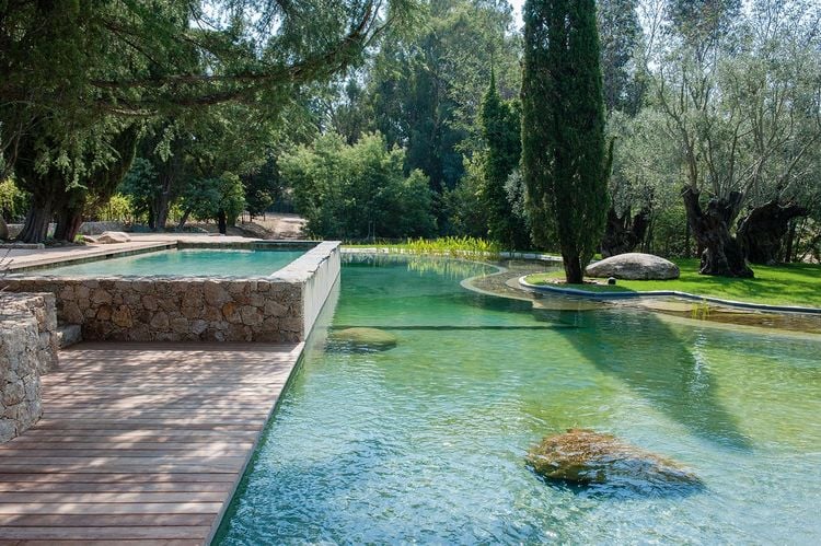 Produktbild: Wasser im Garten 2