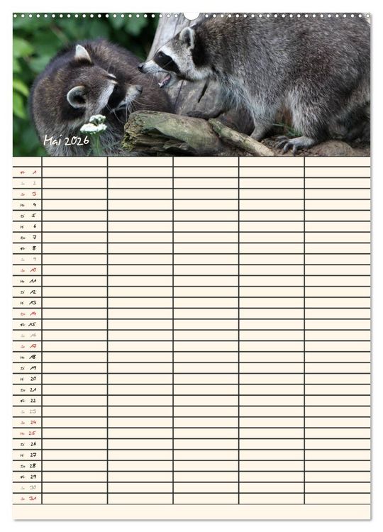 Produktbild: Waschb&auml;ren Familienplaner (Wandkalender 2026 DIN A2 hoch), CALVENDO Monatskalender