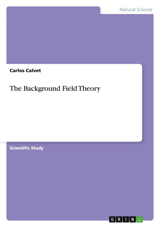 Produktbild: The Background Field Theory