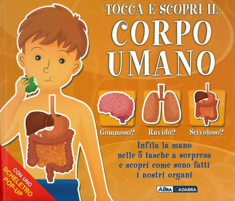 Produktbild: Tocca e scopri il corpo umano