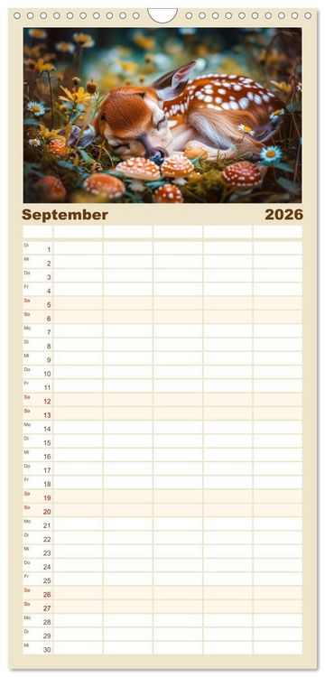 Produktbild: Familienplaner 2026 - Zauberhafte Waldmomente mit 5 Spalten (Wandkalender, 21 x 45 cm) CALVENDO