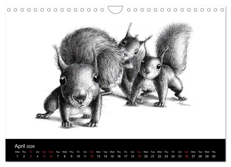 Produktbild: owls & friends 2026 (Wall Calendar 2026 DIN A4 landscape), CALVENDO 12 Month Wall Calendar