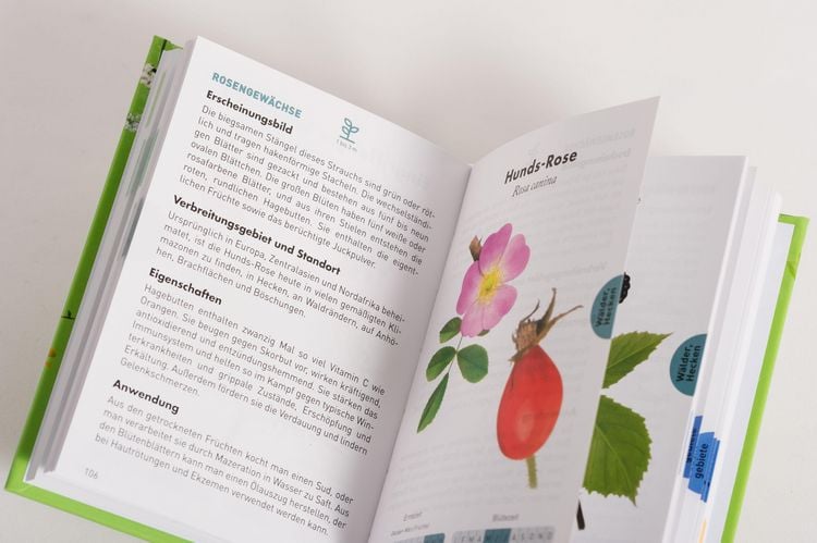 Produktbild: Anaconda Taschenf&uuml;hrer Heilpflanzen. 70 Arten entdecken und bestimmen