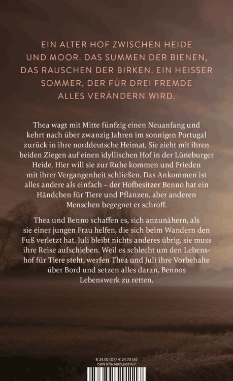 Produktbild: Das Licht in den Birken