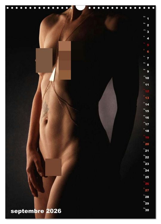 Produktbild: L'or nu (Calendrier mural 2026 DIN A3 horizontal), CALVENDO calendrier mensuel