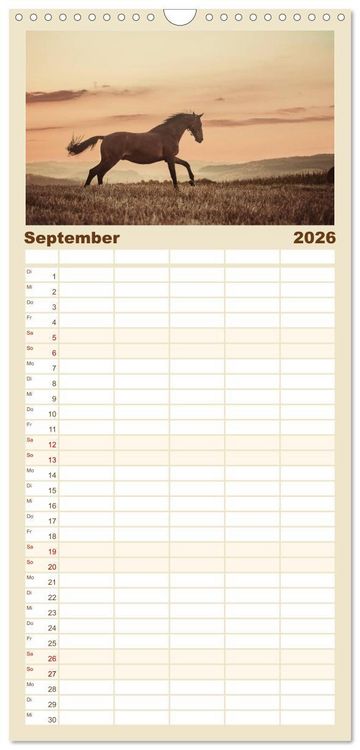 Produktbild: Familienplaner 2026 - Spiegel deiner Seele mit 5 Spalten (Wandkalender, 21 x 45 cm) CALVENDO