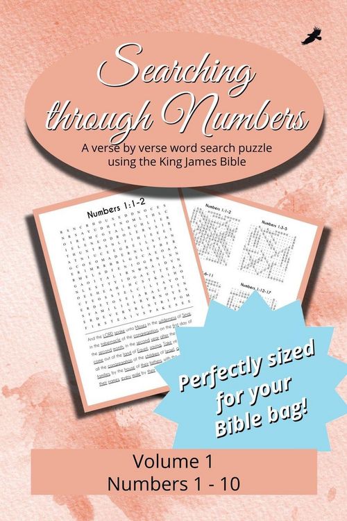 Produktbild: Searching Through Numbers