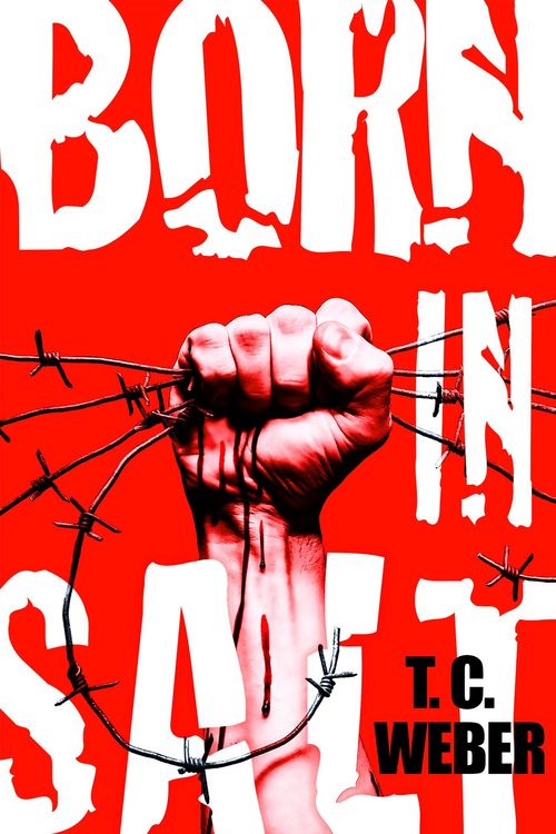 Produktbild: Born in Salt
