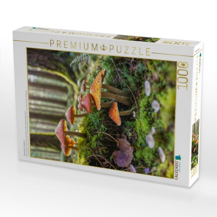 Produktbild: CALVENDO Puzzle Pilzvielfalt im Waldlicht | 1000 Teile Lege-Gr&ouml;&szlig;e 64x48cm Foto-Puzzle f&uuml;r gl&uuml;ckliche Stunden