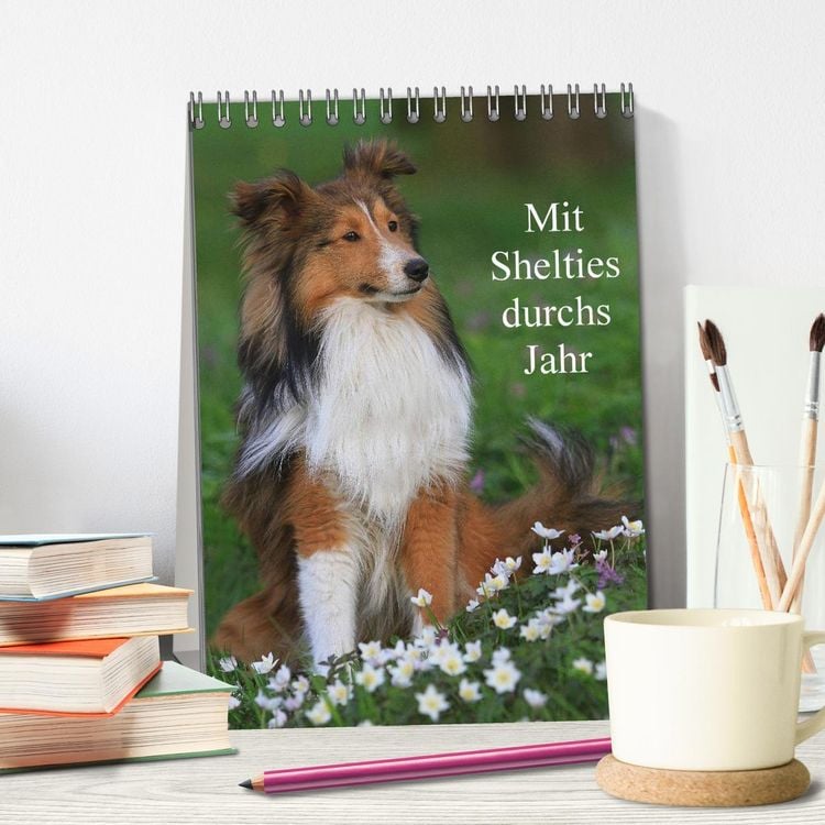 Produktbild: Mit Shelties durchs Jahr (Tischkalender 2026 DIN A5 hoch), CALVENDO Monatskalender
