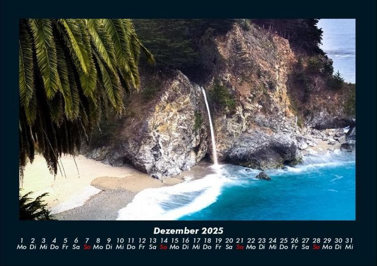Produktbild: Palmen 2025 Fotokalender DIN A4