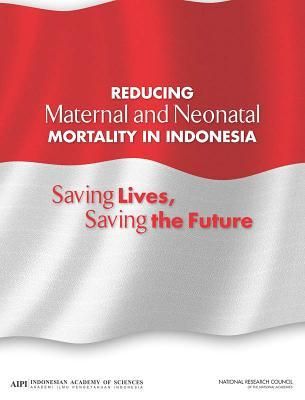 Produktbild: Reducing Maternal and Neonatal Mortality in Indonesia