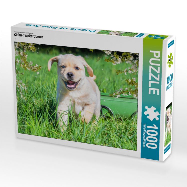 Produktbild: CALVENDO Puzzle Kleiner Welteroberer | 1000 Teile Lege-Gr&ouml;&szlig;e 64x48cm Foto-Puzzle f&uuml;r gl&uuml;ckliche Stunden