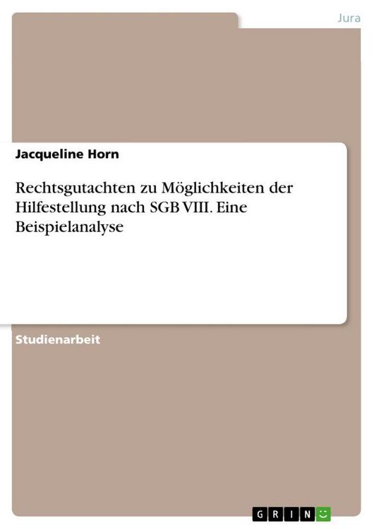 Produktbild: Rechtsgutachten zu M&ouml;glichkeiten der Hilfestellung nach SGB VIII. Eine Beispielanalyse