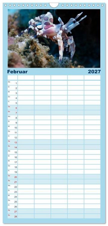 Produktbild: Familienplaner 2027 - Faszination blaue Unterwasserwelt mit 5 Spalten (Wandkalender, 21 x 45 cm) CALVENDO