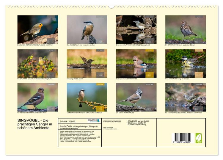 Produktbild: SINGV&Ouml;GEL - Die pr&auml;chtigen S&auml;nger in sch&ouml;nem Ambiente (hochwertiger Premium Wandkalender 2026 DIN A2 quer), Kunstdruck in Hochglanz