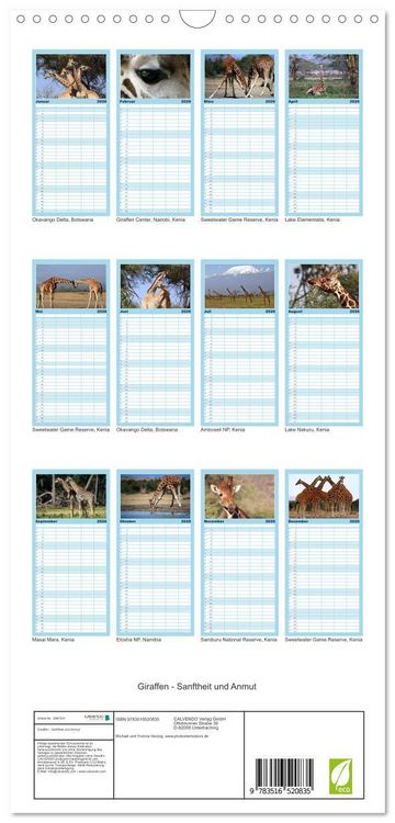 Produktbild: Familienplaner 2026 - Giraffen - Sanftheit und Anmut mit 5 Spalten (Wandkalender, 21 x 45 cm) CALVENDO