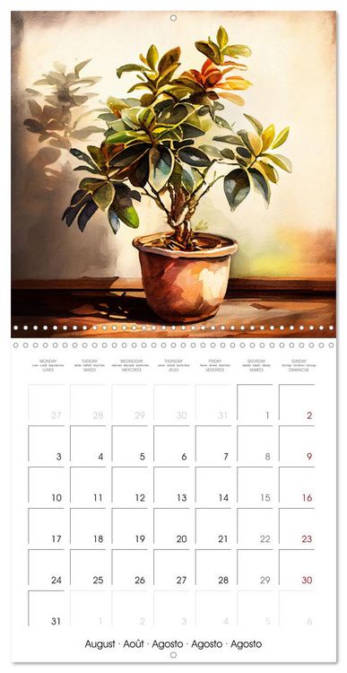 Produktbild: The Art of House Plants (Wall Calendar 2026 12 &times; 12 Inch) CALVENDO 12 Month Wall Calendar