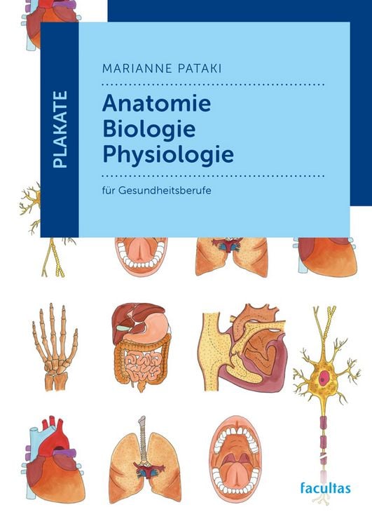 Produktbild: Plakate Anatomie - Biologie - Physiologie