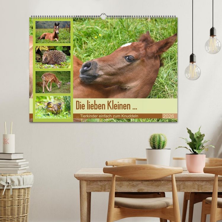 Produktbild: Die lieben Kleinen ... Tierkinder einfach zum Knuddeln (Wandkalender 2026 DIN A2 quer), CALVENDO Monatskalender