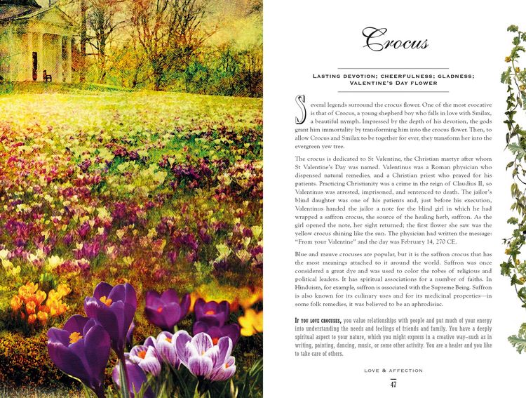 Produktbild: The Secret Language of Flowers