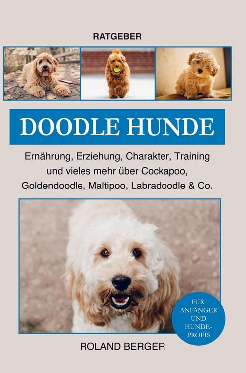 Produktbild: Doodle Hunde Cockapoo, Goldendoodle, Maltipoo, Labradoodle & Co.