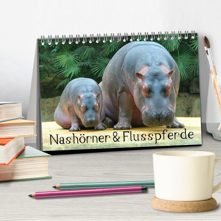 Produktbild: Nash&ouml;rner & Flusspferde (Tischkalender 2026 DIN A5 quer), CALVENDO Monatskalender
