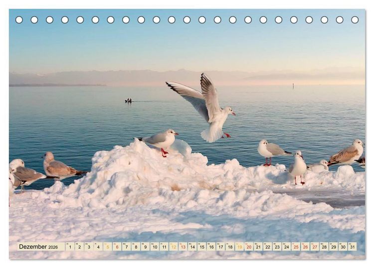 Produktbild: Bodensee - "Die D&ouml;rfer sind wie ein Garten ..." (Rainer Maria Rilke) (Tischkalender 2026 DIN A5 quer), CALVENDO Monatskalender