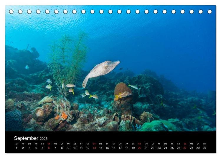 Produktbild: Abgetaucht - an den K&uuml;sten vor Cura&ccedil;ao (Tischkalender 2026 DIN A5 quer), CALVENDO Monatskalender