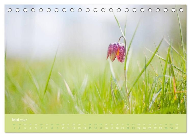 Produktbild: Zeitenwandel - Ein Jahr in der Natur (Tischkalender 2027 DIN A5 quer), CALVENDO Monatskalender